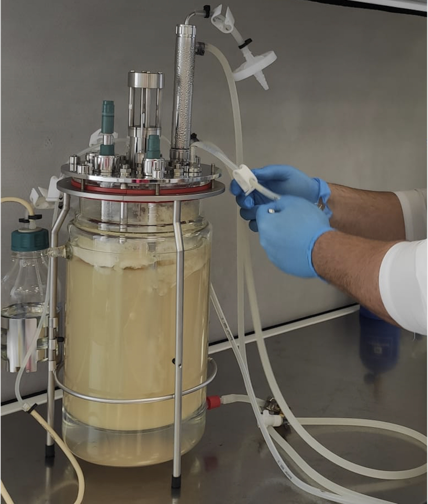 Bioreattore