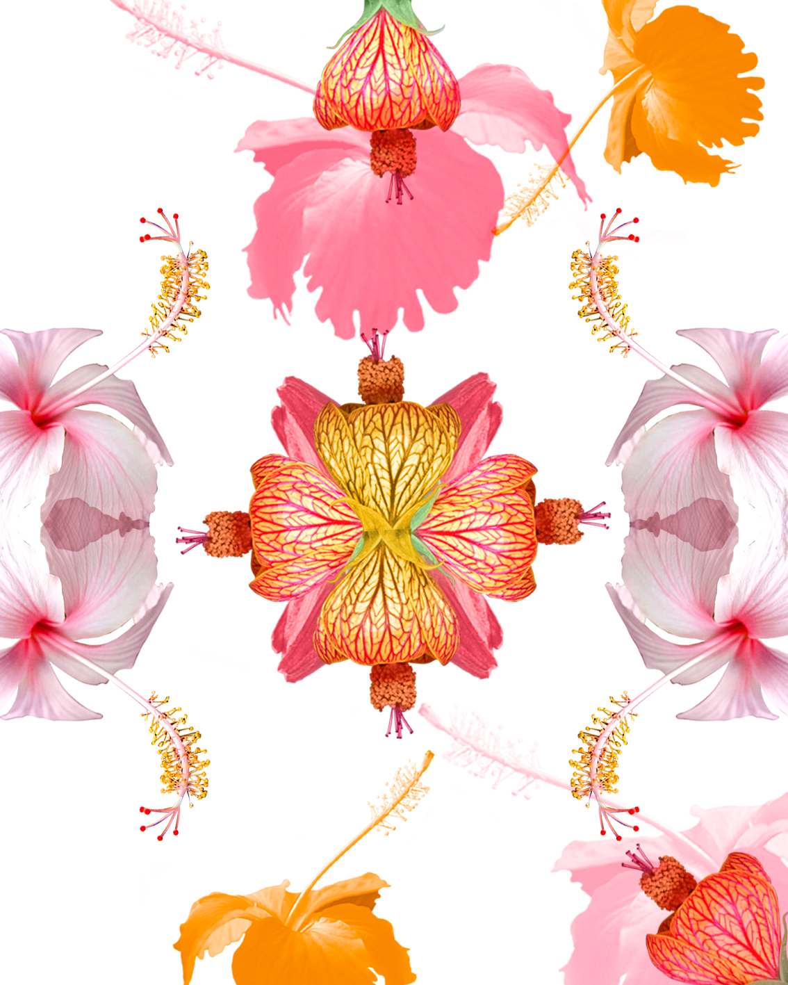 Pannello_HibiskinVita3